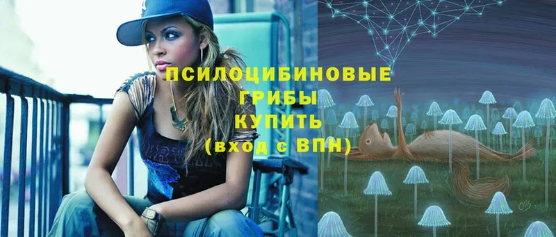 omg ссылки  Бородино  Псилоцибиновые грибы Psilocybe  продажа наркотиков 